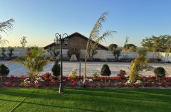 אירוח כנפי נשרים 16