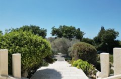 לקס וילה קיסריה 11