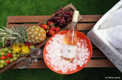 וילה גלילה בוטיק 37
