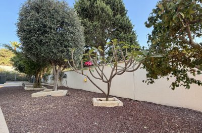 אחוזת קיסריה 38