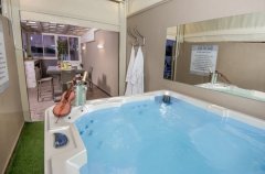 וילה כינור המלך דויד 4