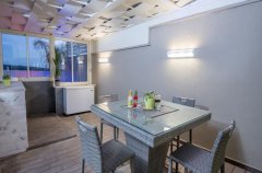 וילה כינור המלך דויד 19