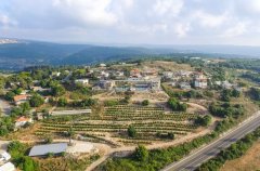 וילה מטע וכרם 15