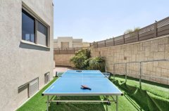 וילה פרפקט 20