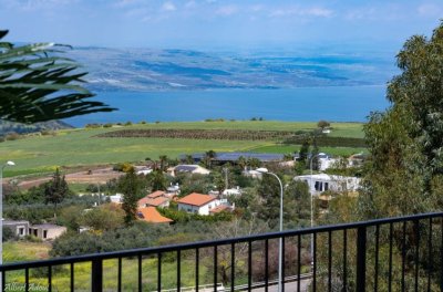 קינג פאלאס טבריה 10