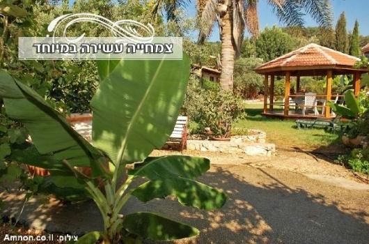 וילה חלום באגם - תמונה 26