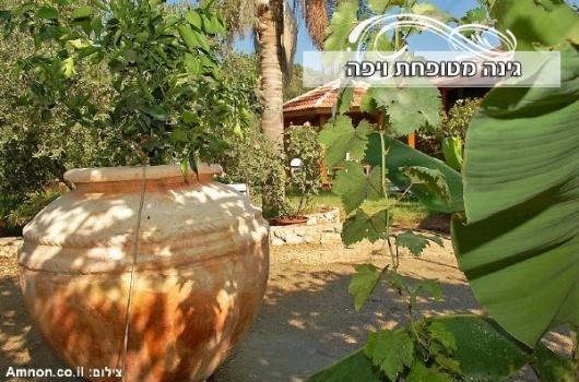 וילה חלום באגם - תמונה 29