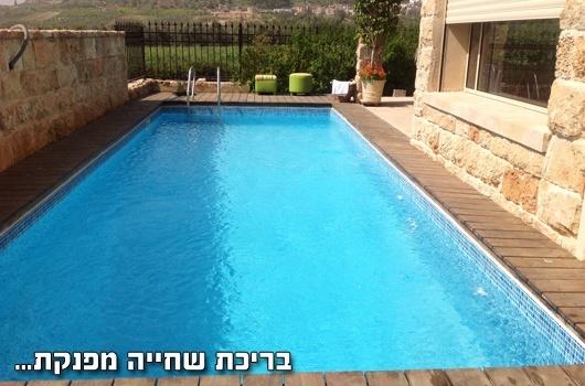 וילה מול התבור - תמונה 2