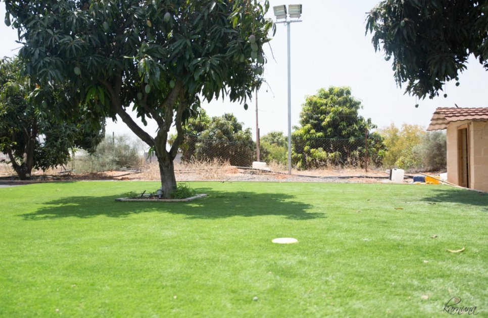 וילה מנגו טרי - תמונה 11