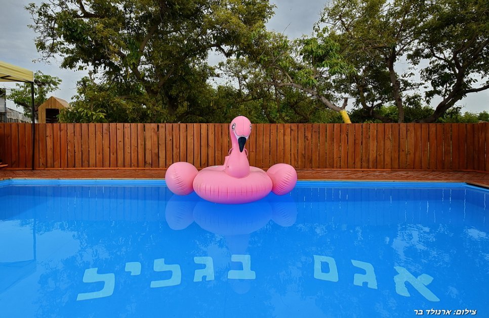 וילה אגם בגליל - תמונה 5