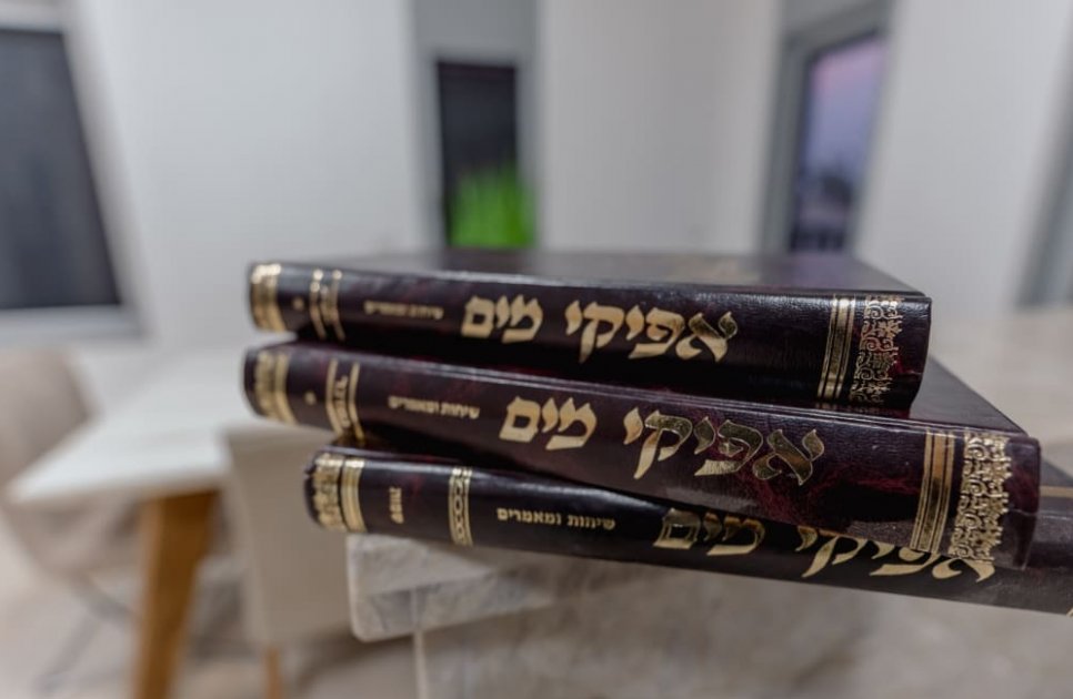 אחוזת אפיקי מים - תמונה 49