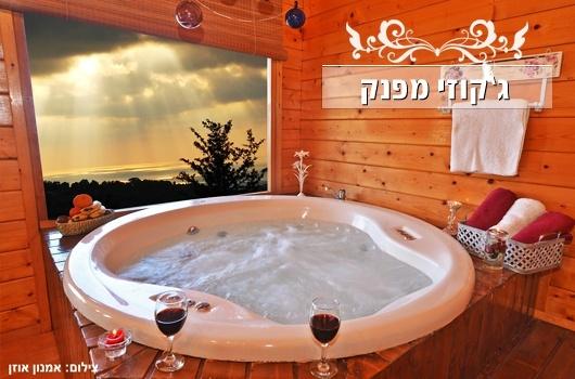 אחוזת אופיר - תמונה 3